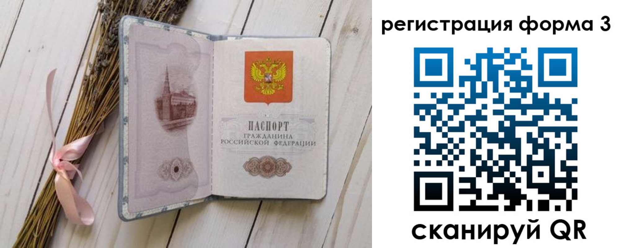 прописка поиск в Михайловке